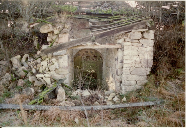 värvifoto Esna mõisa kartulikelder 1995