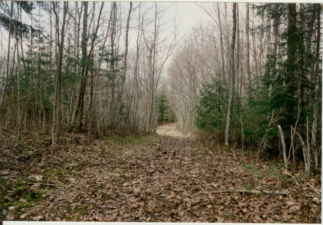 värvifoto tee perekond Gruenewaldi matmispaika ja kabeli juurde 1996