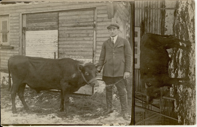 foto mees härjavärsiga