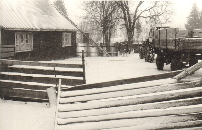 foto vanadekodu Vana Talu õu Koeru 1993
