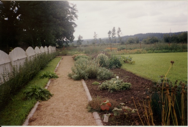 värvifoto Saare mõisa ravimtaimede aed 2001