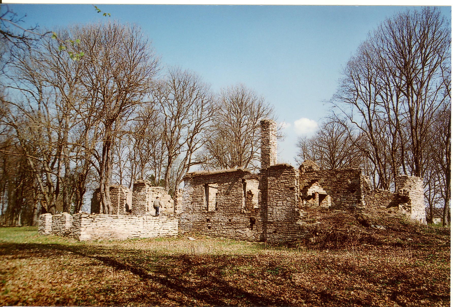 foto Silmsi mõisa varemed 2006