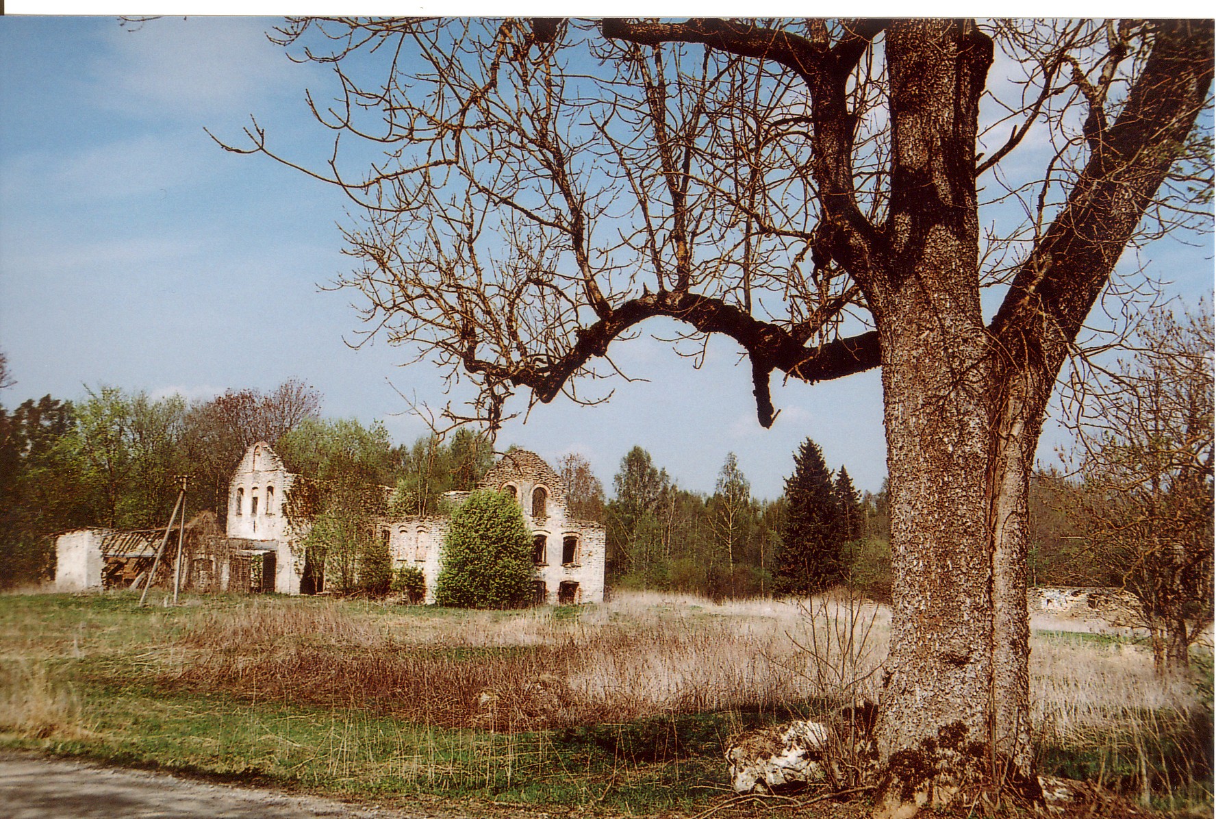 foto Preedi mõisa viinavabriku varemed 2006