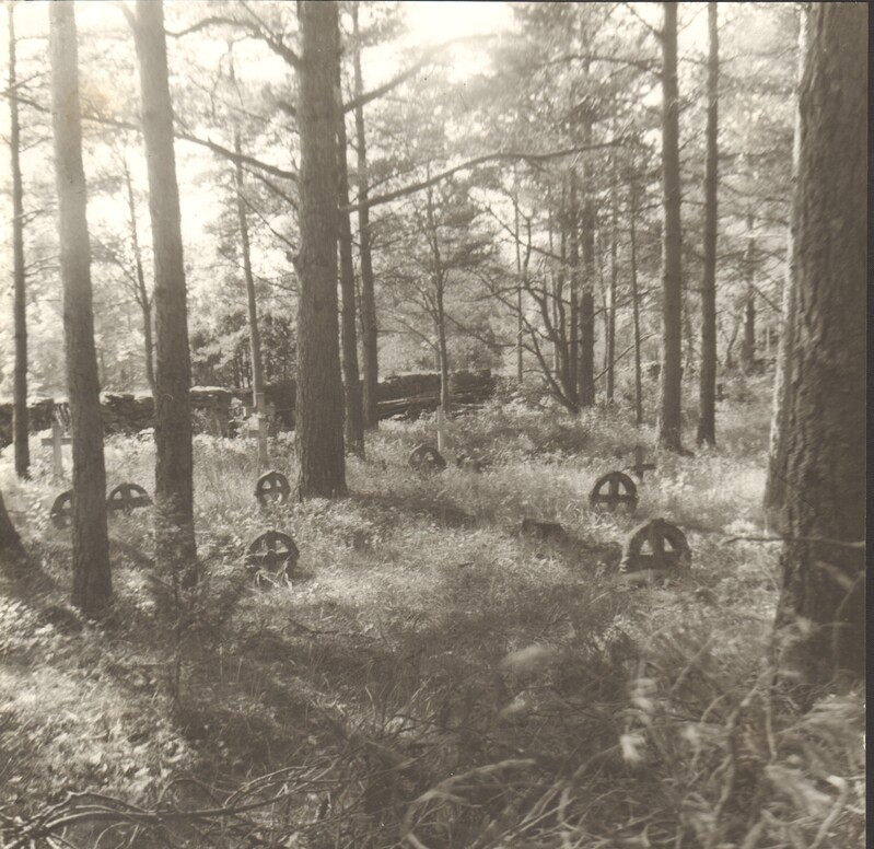 Paide Fotoklubi konkursifoto