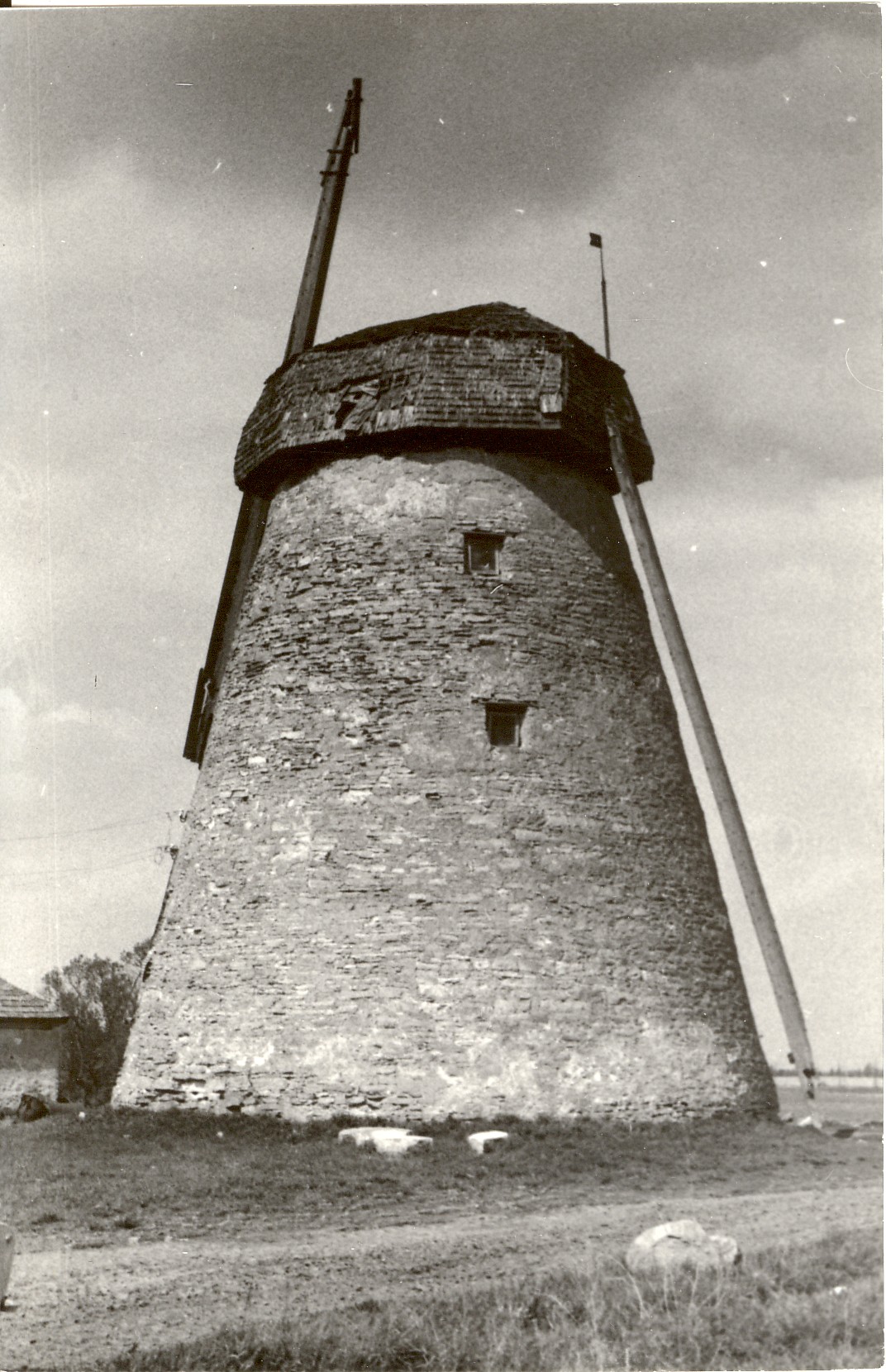 foto, Ervita tuuleveski  1976.a.