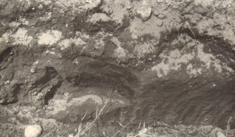 foto, Paide rajoonis Kihme külas leitud keskaegne aare 1972.a.  ja selle leidja Aksel Tepp