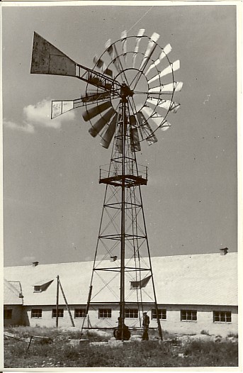 foto, Kalevipoja kolhoosi tuuleturbiin 1953.a.
