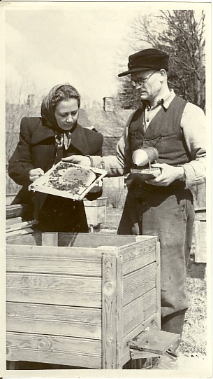 foto, Estonia kolhoosi mesilas 1953.a.