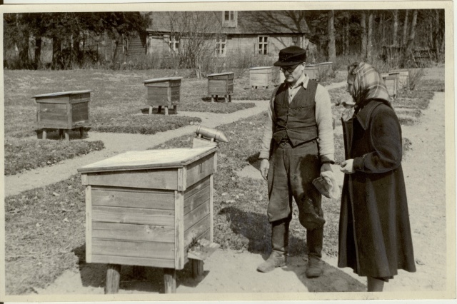 foto, Estonia kolhoosi mesilas 1953.a.