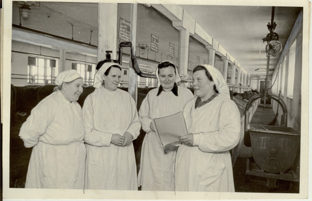 foto, Udeva sovhoosi eesrindlikud lüpsjad 1954.a.