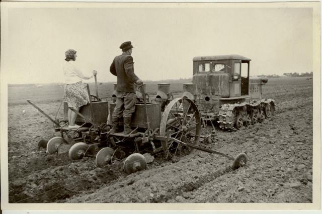 foto, ruutpesitsi kartulipanek Võhma sovhoosis 1955.a.
