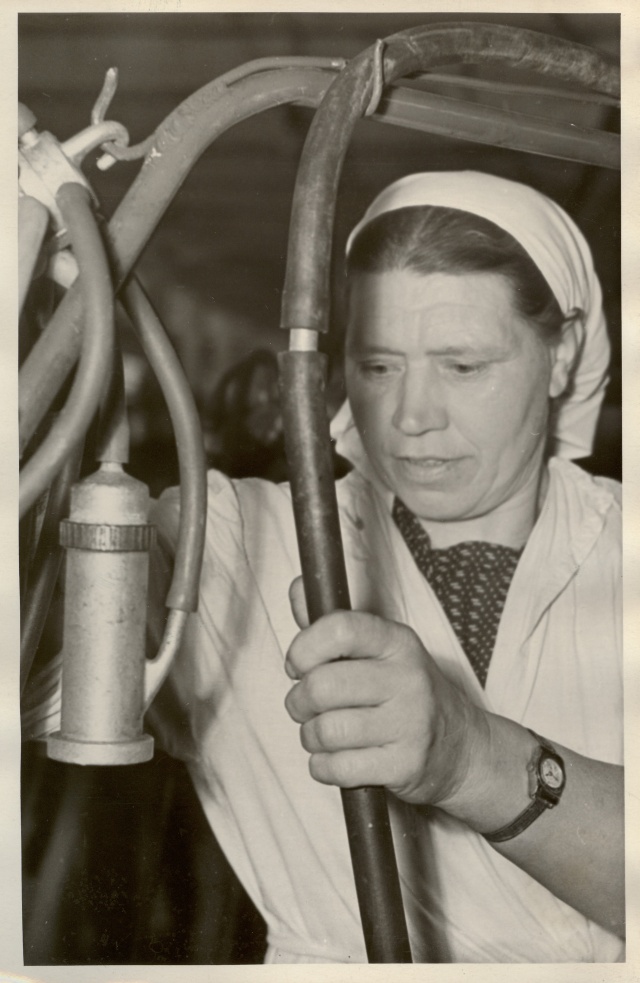foto, Kaardiväelase kolhoosi lüpsja Milde Viirpuu 1961.a.