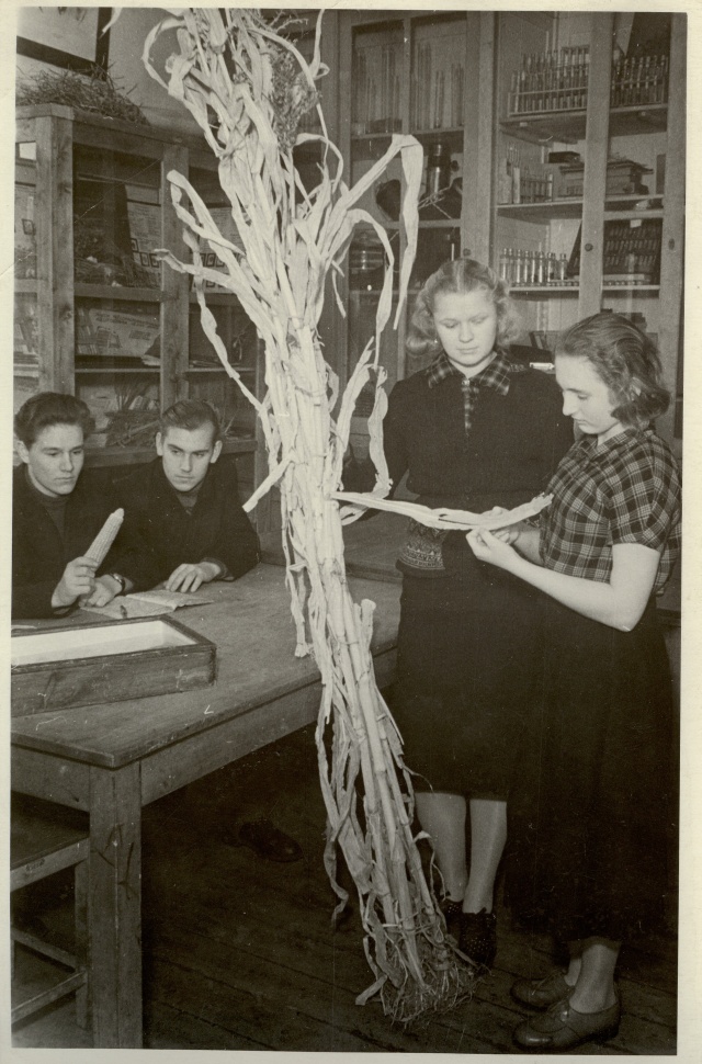 foto, Jäneda tehnikumi õpilased 1955.a.