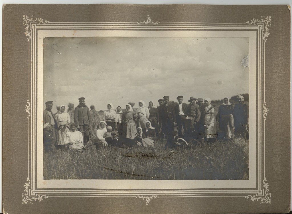 foto, rukkilõikamise talgud Purdis 1910.a. paiku
