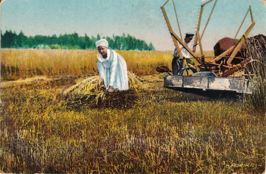 Viljalõikus