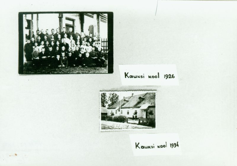 Kauksi kool