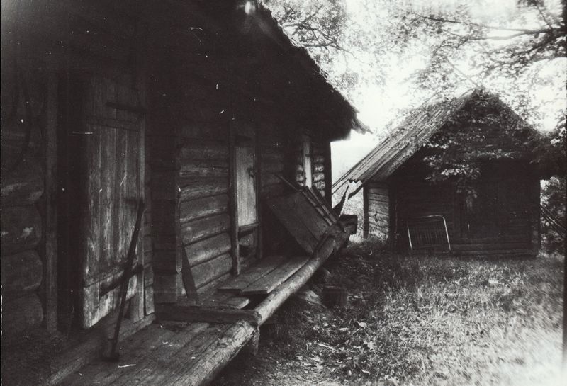 Ait, Risu talu