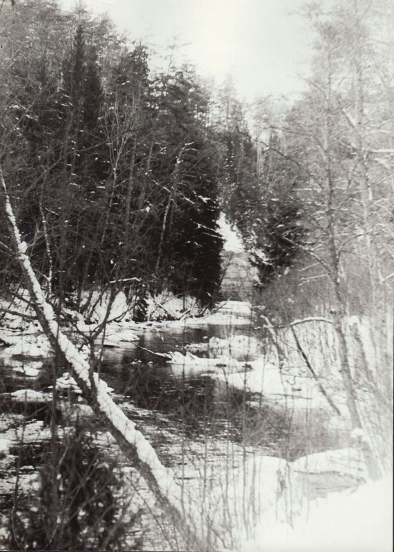 Ahja jõgi Taevaskojas