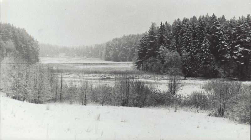 Võhandu jõgi Leevaku juures