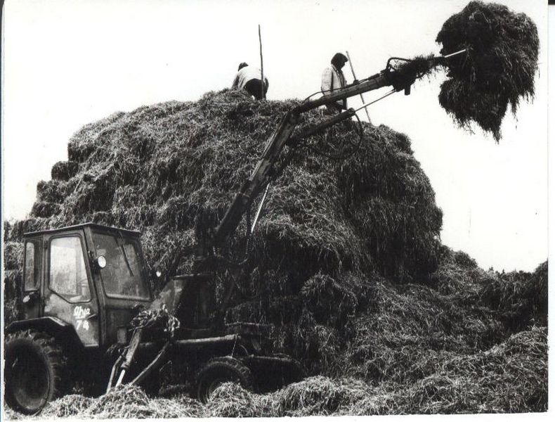 Traktor põhku virnastamas