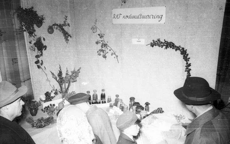 Räpina põllumajandusnäitus