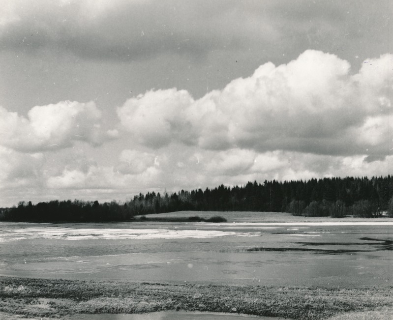 Saksi järv