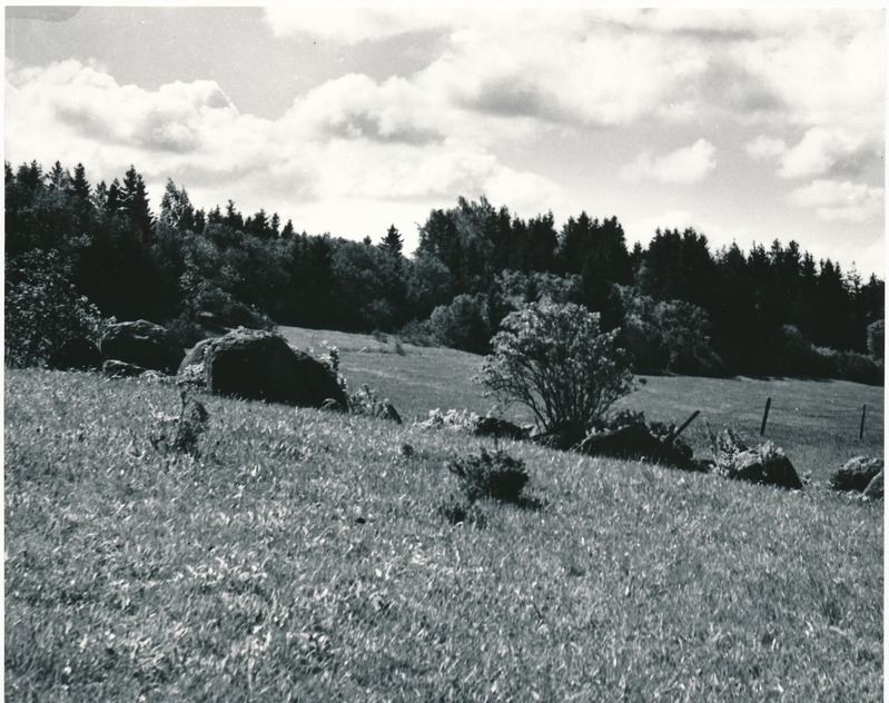 Kadrina Sootaguse maastik