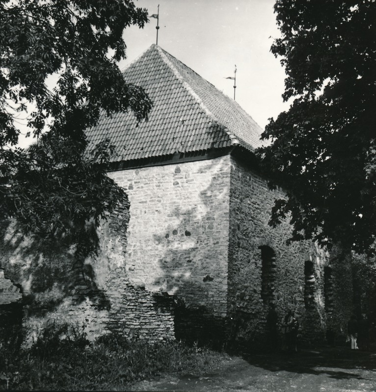 Järve loss