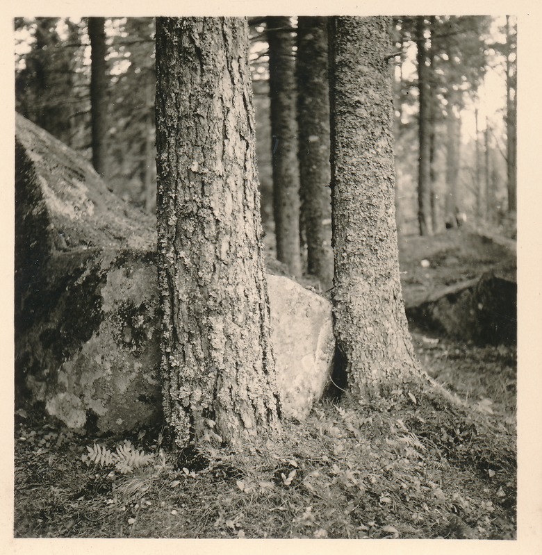 Käsmu