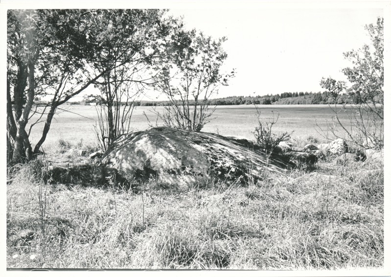 Kultusekivi Aresi Altküla põllul