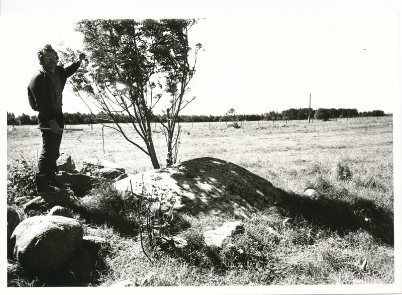 Kultusekivi Aresi Altküla põllul