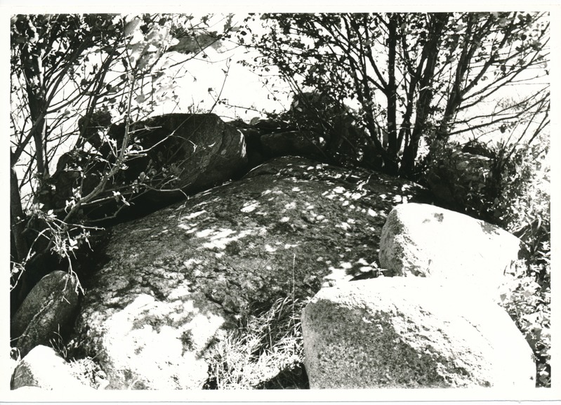 Kultusekivi Aresi Altküla põllul