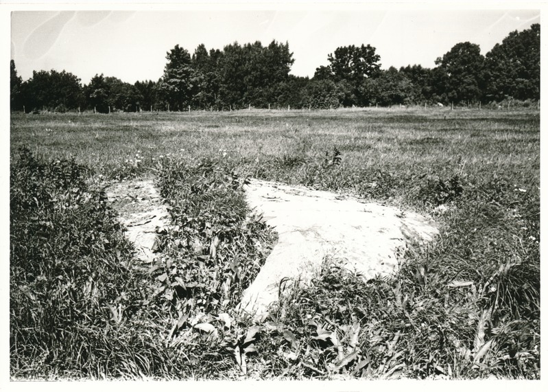 Kultusekivi Aresi Altküla põllul