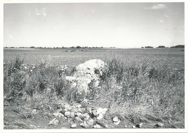 Kultusekivi Aresi-Vanakülas