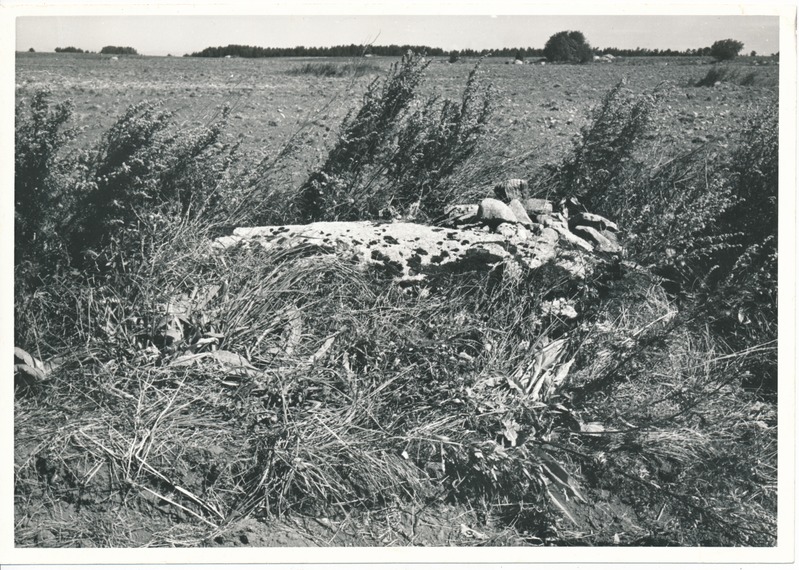 Kultusekivi Aresi-Vanakülas