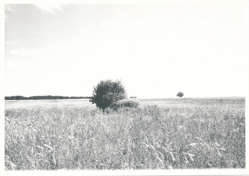 Kultusekivi Aresi-Vanakülas