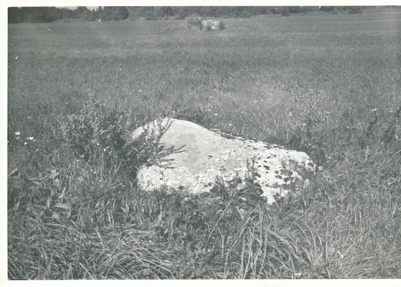 Kultusekivi Aresi-Vanakülas