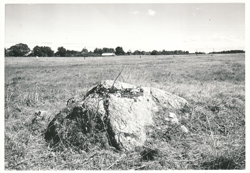 Kultusekivi Aresi-Altkülas