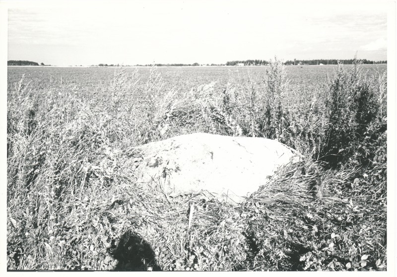 Kultusekivi Kohala külas