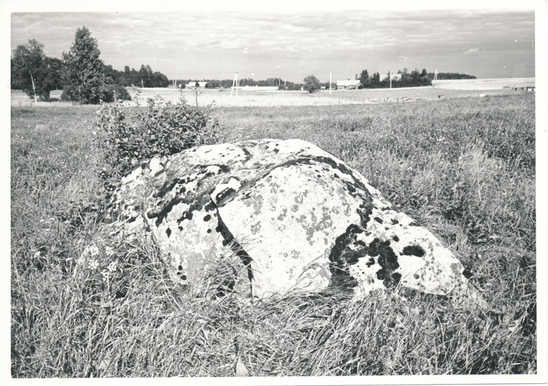 Kultusekivi Kohala külas