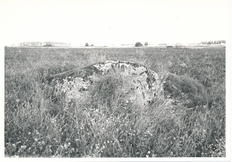 Kultusekivi Kohala külas