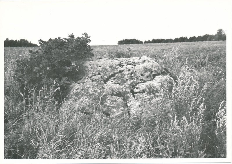 Kultusekivi Kohala külas