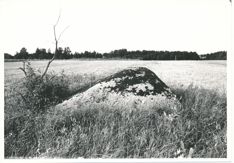 Kultusekivi Kohala külas