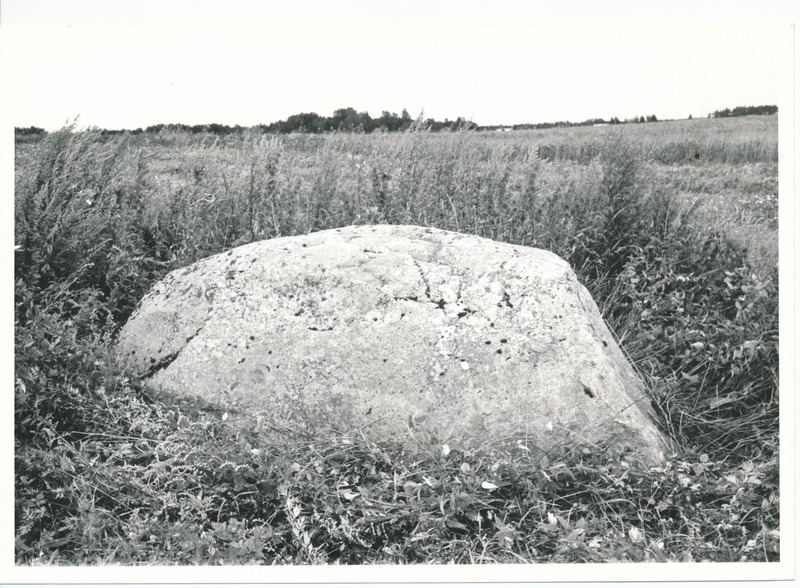 Kultusekivi Kohala külas