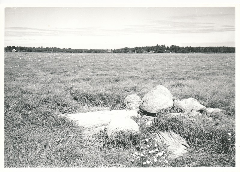 Kultusekivi Jäätma külas