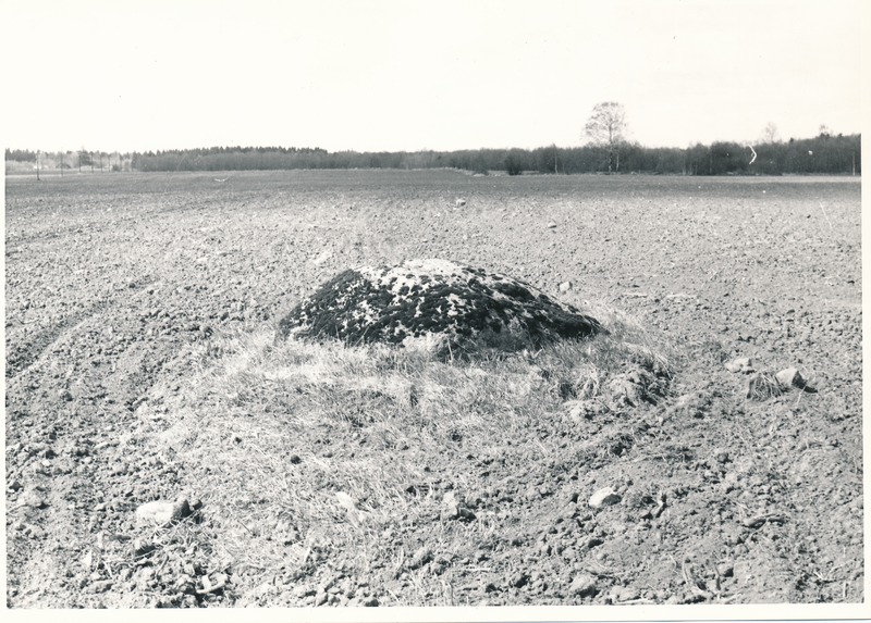 Kultusekivi Kohala külas