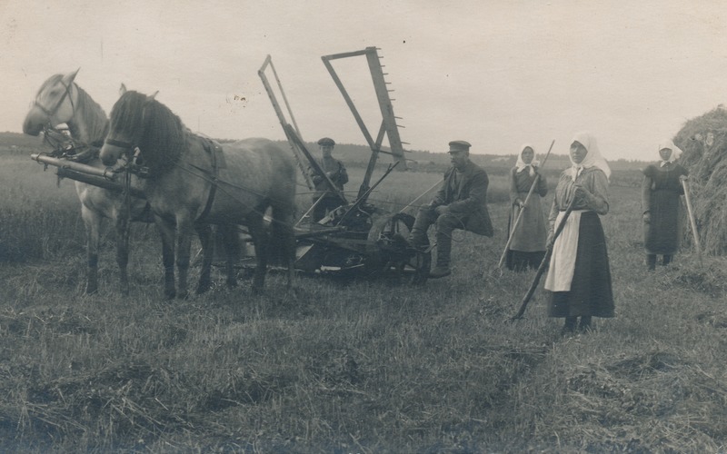 Pada küla Paluoja talu pere põllul