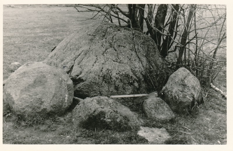 Kultusekivi Haljalas