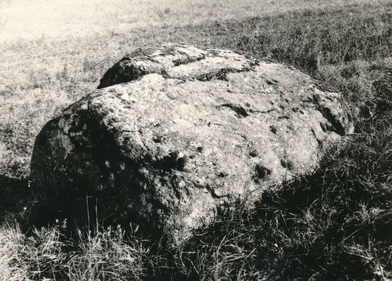 Kultuskivi Mõdrikus