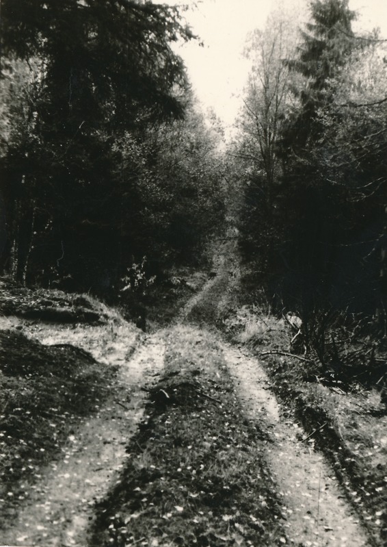 Ohverdamiskoht Lebavere külas "Taaraorus"